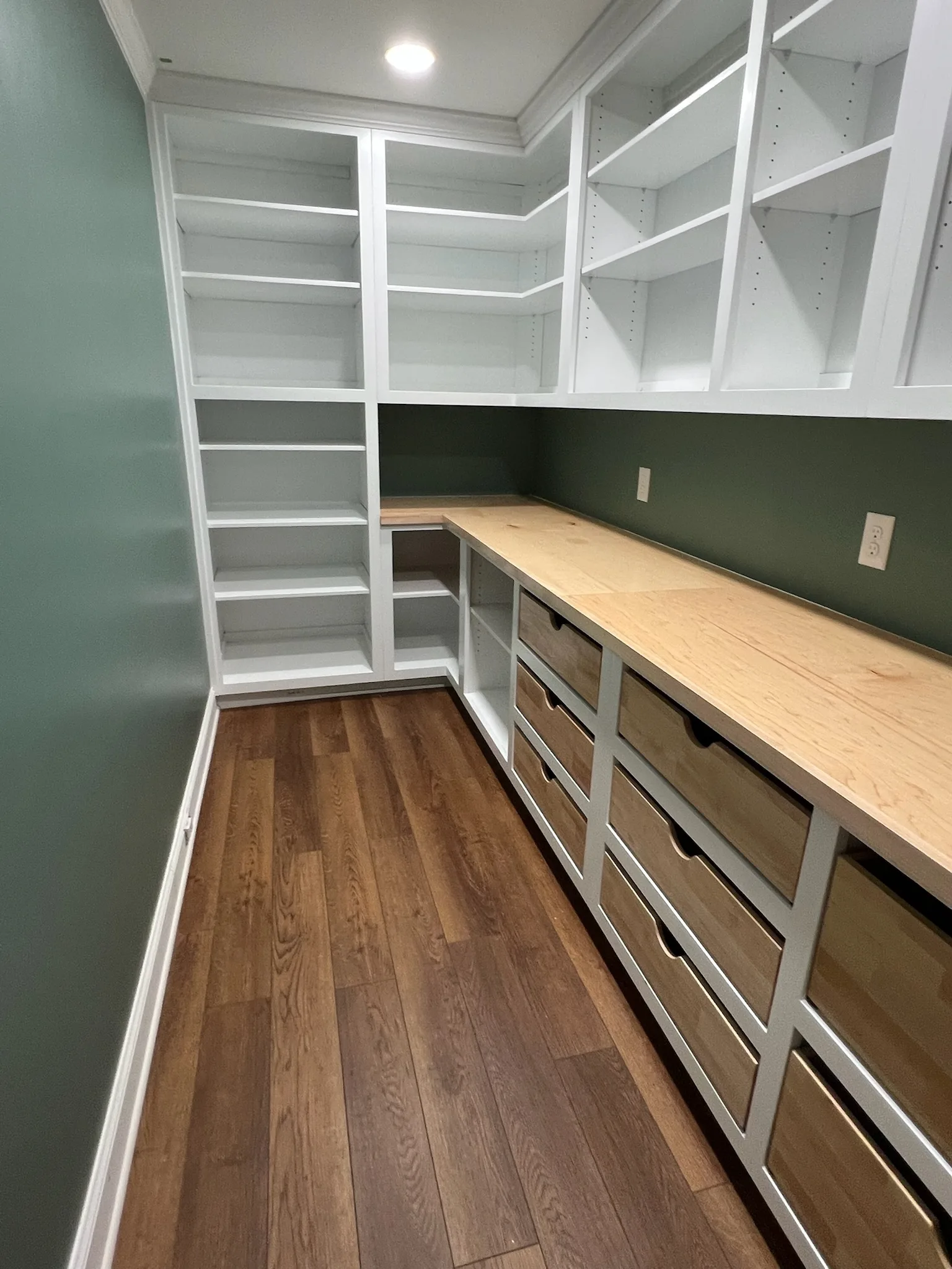 Room overview of green walk-in pantry with built-in shelving and wood drawers by Sims Custom Woodwork.
